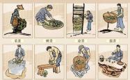 茶叶的生产过程画一画