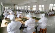 茶叶纸罐生产厂家