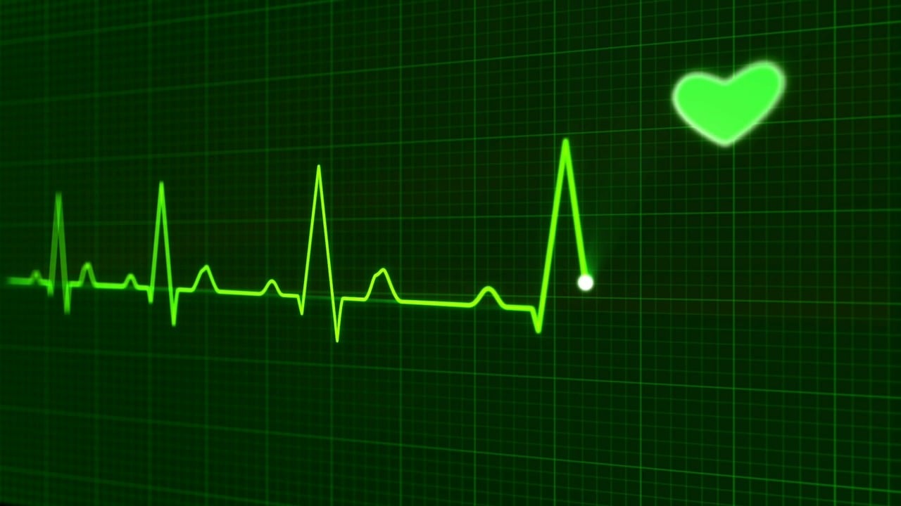 揭秘健康减肥的科学秘密，实用小常识与生活调整指南